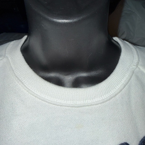 HOLLISTER APPLIQUE LOGO CREWNECK - Picture 3 of 10